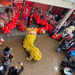 温哥华华埠春节游行及舞狮采青