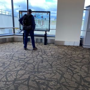 为什么歪果仁囤货时要抢厕纸，这里有几个可能的答案