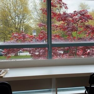 舍，才能得；怕失败，最好不要冒险