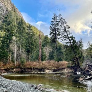 为什么要学历史？海外华二代要不要学中国历史？