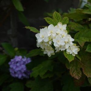 给孩子多大的空间才足够，始终是家长要面临的考题