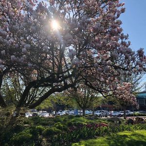 教育内卷，父母们如何避免？