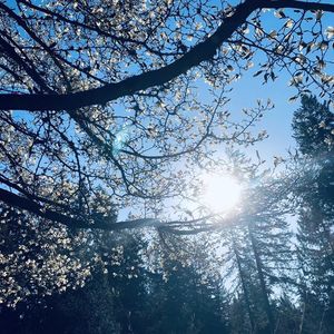 爱德华王子岛的土豆哪儿啦？更新版