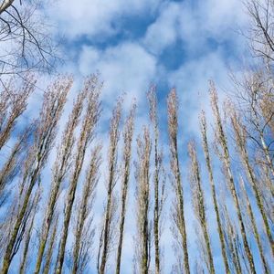 你缺的不是洞察力，你缺的是能坚持下去的执行力！