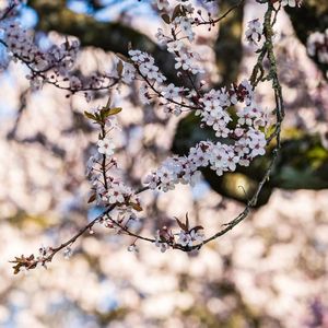 新来加拿大的留学生应该注意什么