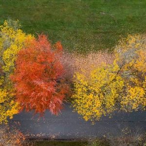 从特鲁多和印度翻船看加拿大政党实质