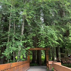 怕“作牛马”的年轻人，可能要作一辈子牛马