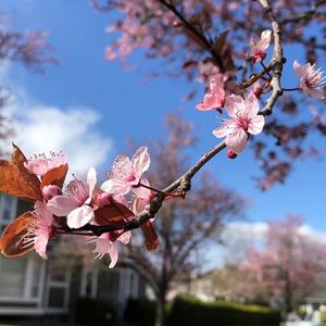 珍惜缘分，善待他人