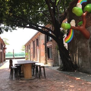 意外之旅第七天