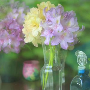 少一些后悔、埋怨，你的人生也会很精彩