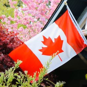 九月份来加拿大留学，选网课还是入境读书？