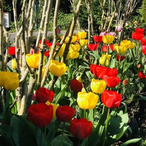 认识情绪，容纳、支持