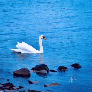 楚门的世界，拉开门离开就好