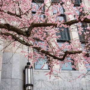 GEERT HOFSTEDE 的价值取向理论