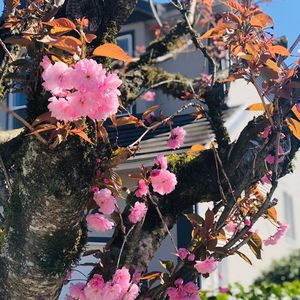 海明威说：多想想自己能做什么，少在意不能做什么