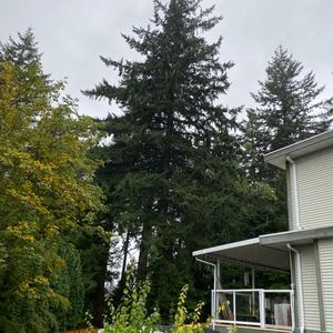 枫叶卡和入籍，怎么选？