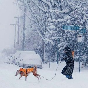 移民VS离婚，我该怎么选