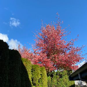 关于爱情、关于婚姻