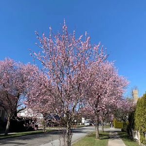 来到加拿大后，我是否能找到合适的工作？生活质量是否会下降？