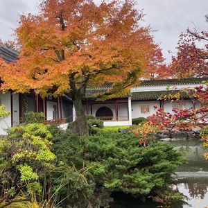 房子被洪水冲走了，却不能获得保险理赔，为什么？