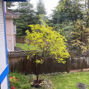 说说加拿大的地税