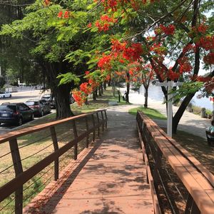 意外之旅第八九天之两段惊喜