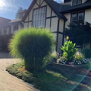 梦想一定要有，万一实现呢