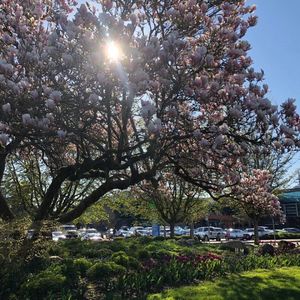 如何摆脱工作中导致不良情绪