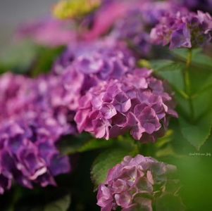 对付青春期孩子的新感悟：逞强&示弱