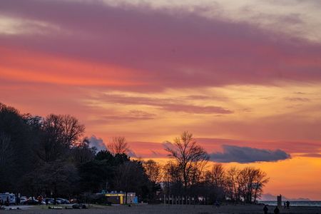 当我从跑步机摔下来时，我在想些什么