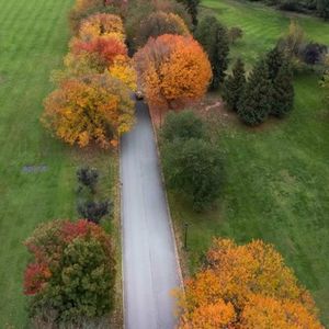 加拿大哪所大学容易毕业