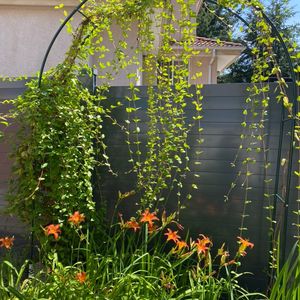 生活不易，你和TA是否能携手渡劫？