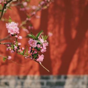 减重要诀&如何在撕裂的朋友圈中低头深耕