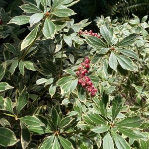 如何对待青春期的孩子