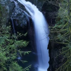 《漫漶的诗意：体悟情感，是打开诗藏的钥匙》001