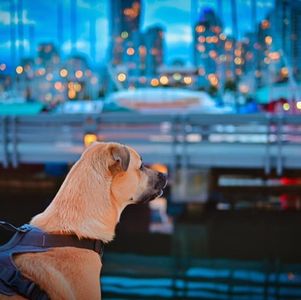 俄乌战争，零和博弈，人类乱纪元中的几点思考