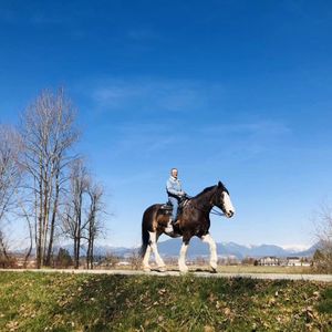 我的三次移民经历及零基础英语如何适应加拿大生活