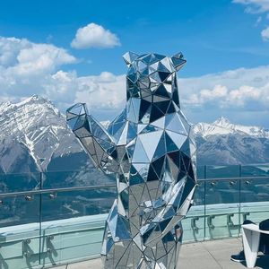 那些关于加拿大国会请愿e4395不得不说的话