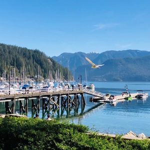 公校VS私校，大温VS大多，陪读家长和新移民怎么选？