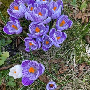 “我们看待事物的方式决定着一切，而非事物本身”