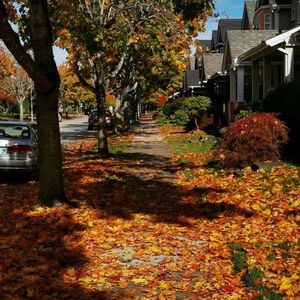 奇妙：中国听友在美国的在线头马俱乐部遇到了我的初中同桌