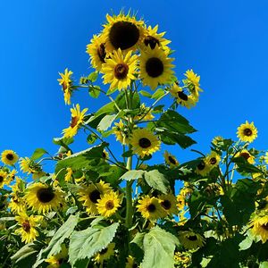 人生规划几年合适？5年还是3年？