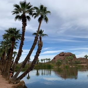 为什么我建议你去深造？