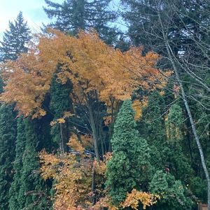 父母适当适时的放手，是对孩子最大的恩惠