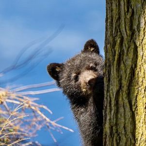 两个第一次：第一堂跨文化研究课和第一场直播