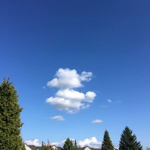 加拿大找工作并不难，只要你不惧怕变化