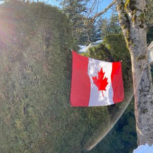 加拿大联邦大选123