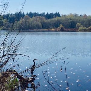 我的弃商从文的选择并不艰难，只是想明白一个道理