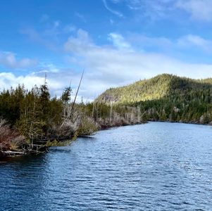 北美的亚裔歧视问题之我见