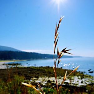 想早退，又舍不得国企高薪，怎么破？